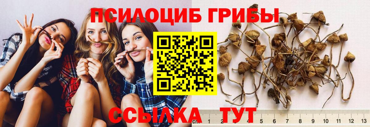 Псилоцибиновые грибы прущие грибы  Псилоцибиновые грибы ЛСД  Люберцы  Вход с VPN 